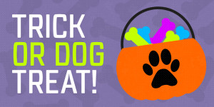 trick or dog treat